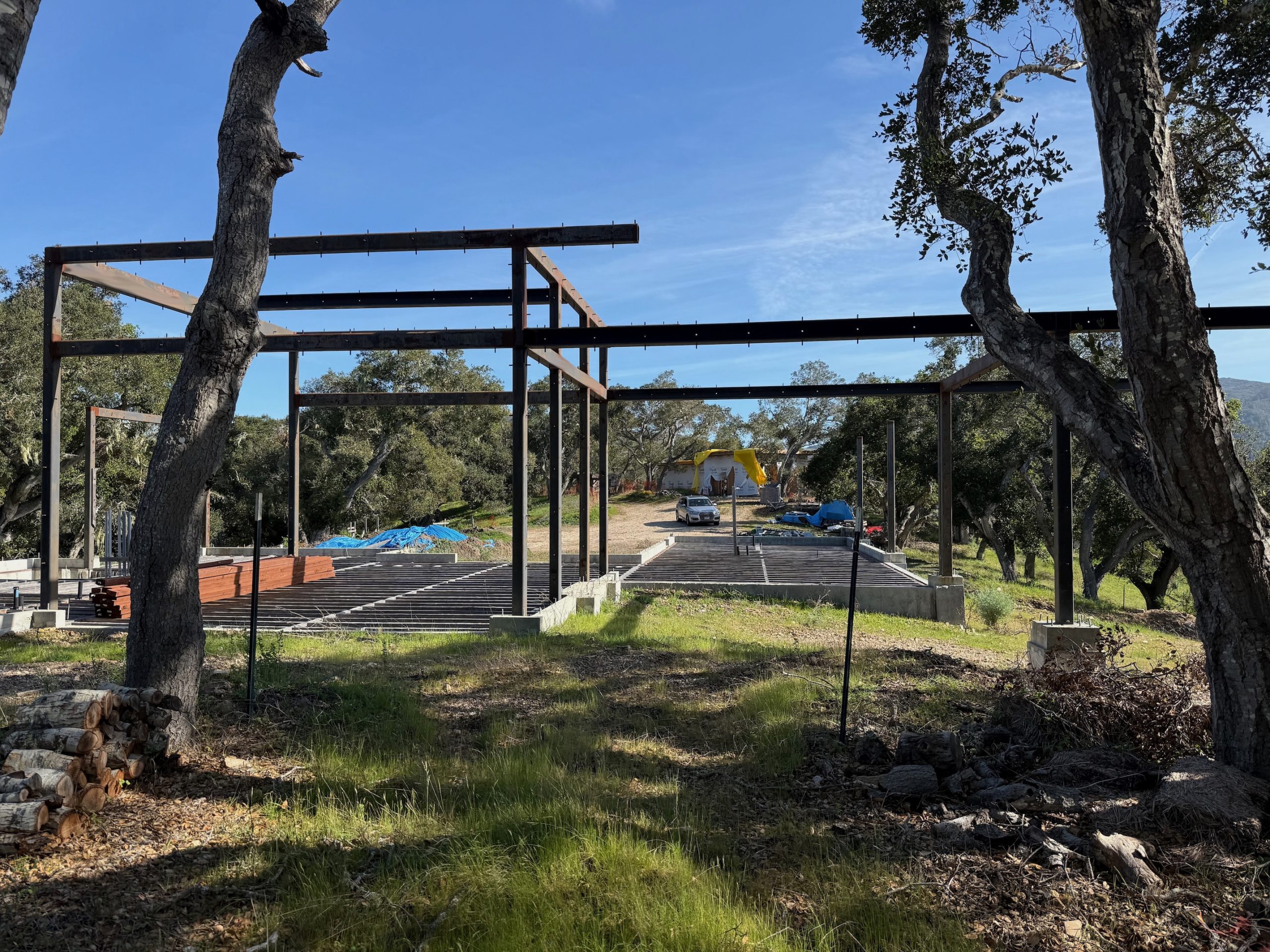 Construction progress - steel frame among oaks